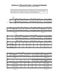 Бетховен 'Ода радости' - Версия для флешмобов